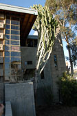 Freeman House - California