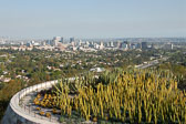 J. Paul Getty Museum