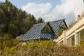 Miho Museum