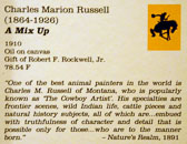 Rockwell Museum