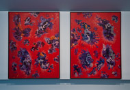 Denver Art Museum