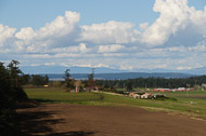 Whidbey Island - April 2011