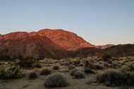 Borrego Springs