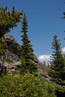 Odell Butte Outing - May 27, 2007