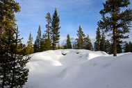 Snowshoeing at Edison Snow Park in Central Oregon