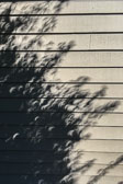 Solar Eclipse Images