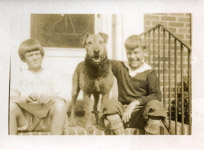A Murray Collection