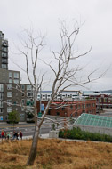 Seattle, Washington