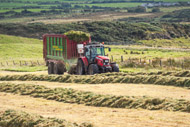 Ireland and Northern Ireland