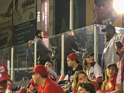 2019 Major League Baseball World Series