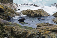 Marlborough Sounds