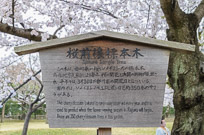 Takamatsu, Japan