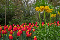 Keukenhof Gardens