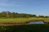 Cape Cod Museum of Natural History