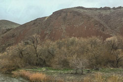 Eastern Oregon