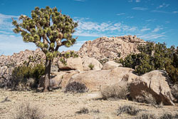 2024-02-Palm Springs