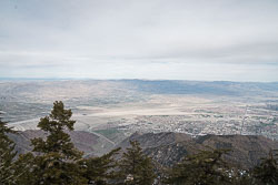 2024-02-Palm Springs