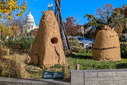 2024-11 Washington DC