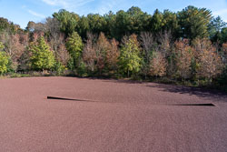 Glenstone - 2021