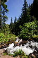The North Umpqua River