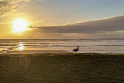 A trip to the Oregon Coast