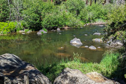 2024-06 Riley Ranch Nature Reserve