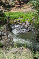2024-06 Riley Ranch Nature Reserve