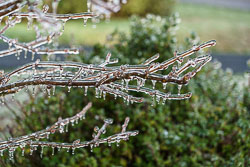 Freezing rain at our home