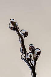 Freezing rain at our home