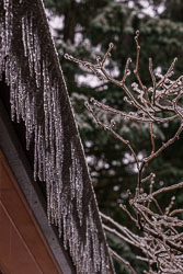 Freezing rain at our home