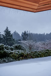 Freezing rain at our home